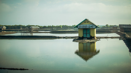 Fototapeta premium shrimp farm with barn reflecting in pond