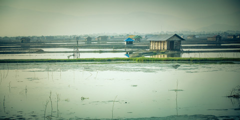 shrimp farm with shrimp ponds and barns in the background, somew