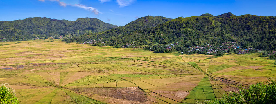 rice fields uniquely shaped like a big circular spider web