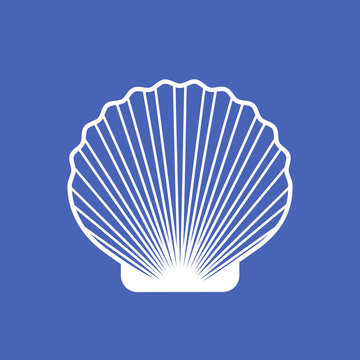Marine shell or seashell scallop vector isolated on blue