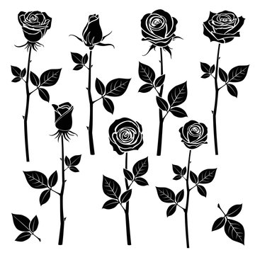 Rose silhouettes, spring buds vector symbols