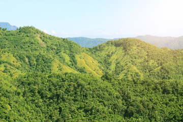 Mountain landscape in the summer