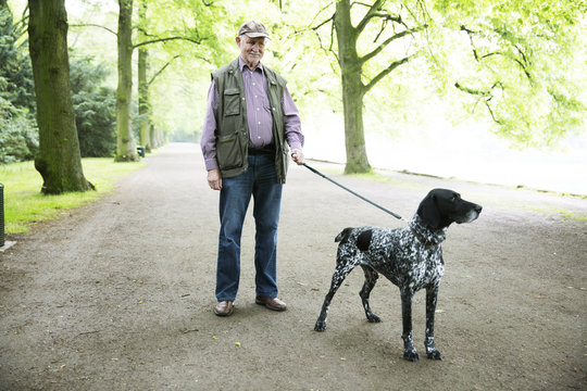 Senior man walking with his German Shorthaired Pointer in city park