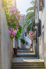 Obraz na płótnie Canvas Traditional European Mediterranean architectural style in the streets and houses, yard, porches, stairs, shutters in the afternoon sunbeam, surrounded by vine, hydrangea and palm at summer Mali Losinj