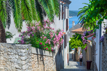 Traditional European Mediterranean architectural style in the streets and houses, yard, porches, stairs, shutters in the afternoon sunbeam, surrounded by vine, hydrangea and palm at summer Mali Losinj