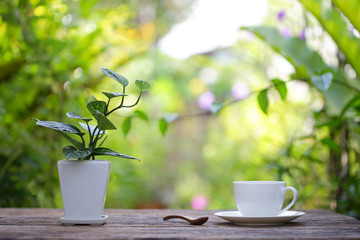 White cup with pot of plant at outdoor