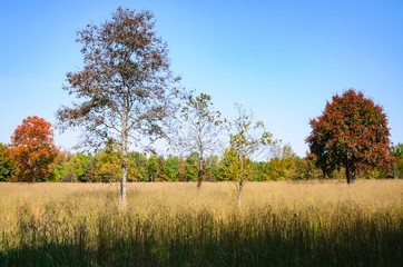 Cowpens National Battlefield Park