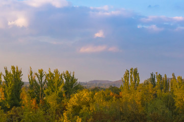 Fototapeta premium urban autumn landscape