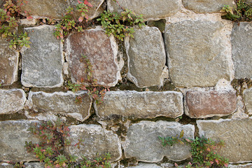 Wall of various unusual very old stones.
