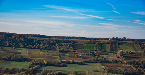 Blick vom Ingelheimer Berg auf die Weinberge vom Westerberg II /II