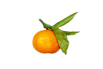 Mandarin with green leaves