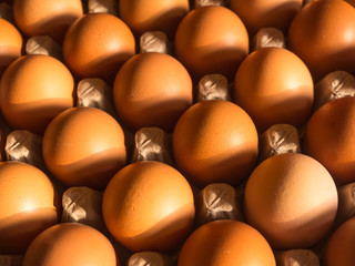 Organic egg on paper package