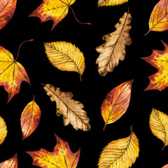 Seamless watercolor pattern of leaves oak, maple, elm, watercolour autumn background of yellow, orange and red leaf, hand painted botanical illustration for textile, wrapping paper, card, invitation