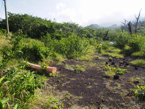 三宅島 噴火による泥流で埋もれた神社