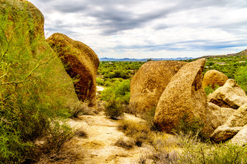 Cacti, Shrubs and large Rocks and Boulders in the desert near Carefree Arizona, USA
