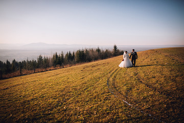 Obraz premium gorgeous bride and stylish groom hugging, boho wedding couple, luxury ceremony at mountains with amazing view, space for text