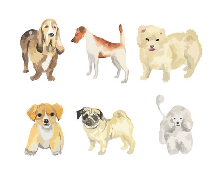 Watercolor dogs set on white background. Beautiful and smart puppies.