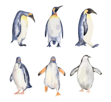 Watercolor penguins set on white background. Antarctic animals.