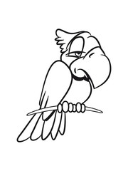 parrot tired