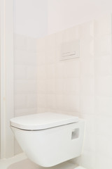Toilet in modern, bright house