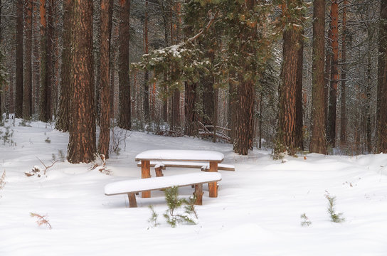 Fototapeta bench in winter forest