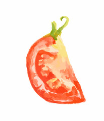 Isolated watercolor tomatoes on white background. Healthy and ripe fresh vegetable for cooking and decoration.