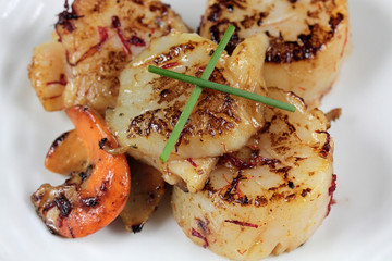 saint-jacques 14112016