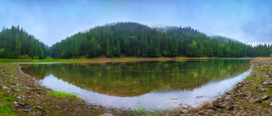 Fototapeta premium Panoramic view of beautiful lake in mountains. Spruce forest in