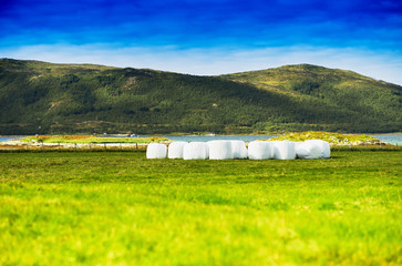 Norway packed haycock background