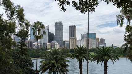 Fototapeta na wymiar The city skyline of Sydney, Australia