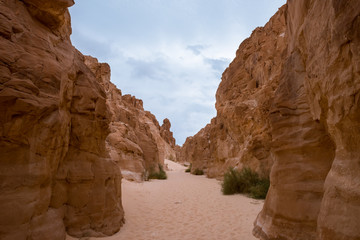 White Canyon Sinai Peninsula, Egypt