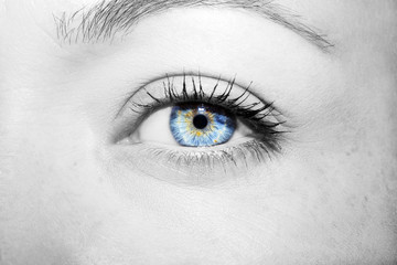 Beautiful insightful look blue woman's eyes