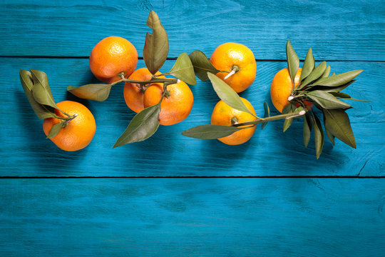 Tangerines with leaves