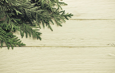 Green spruce branches on a light wooden background. White natura