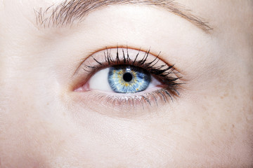 Fototapeta na wymiar Beautiful insightful look blue woman's eyes