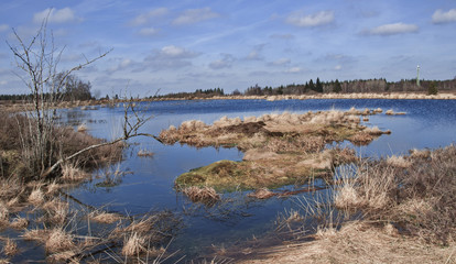 Sumpfgebiet