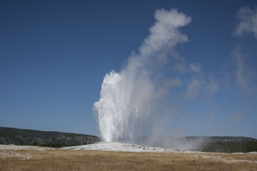 old faithful