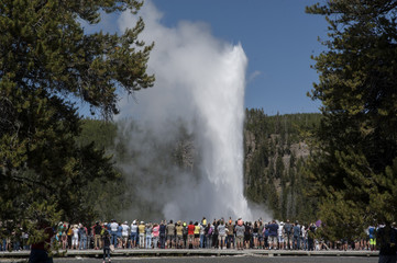old faithful
