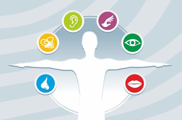 Fototapeta premium gesicht1411h