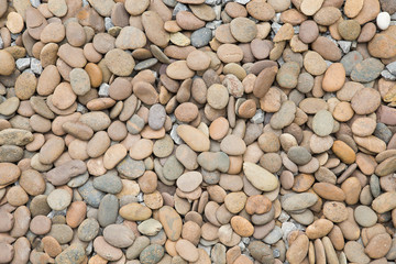 pebbles for decorative garden.