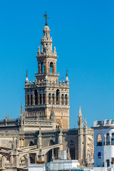 Fototapeta na wymiar Sevilla. Tower Giralda.