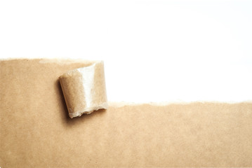 Blank torn brown paper with space for text on white background