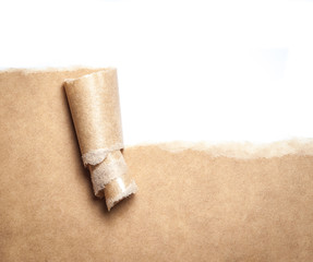 Blank torn brown paper with space for text on white background