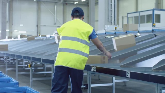 People Work at Post Sorting Center. Young Man and Woman Sort Parcels into the Boxes. Shot on RED Cinema Camera in 4K (UHD)