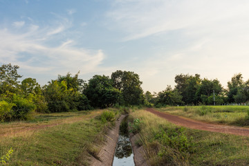 Fototapeta na wymiar background landscape of country in Thailand.