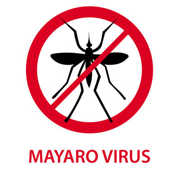 Mayaro virus icon
