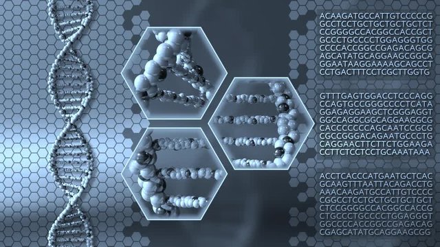 Spinning DNA molecules blue motion background. Genetic research, medical laboratory or molecular diagnostics concepts. 4K seamless loop animation