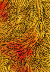 pattern of gold feathers, leaves, twigs. Art background, design element