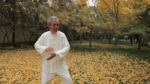 TU MS PAN Mature man doing Tai Chi in park / China