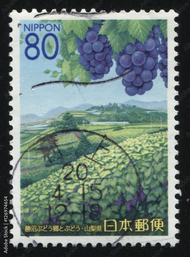 Poster vineyard